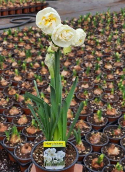 [출처=마포구청]