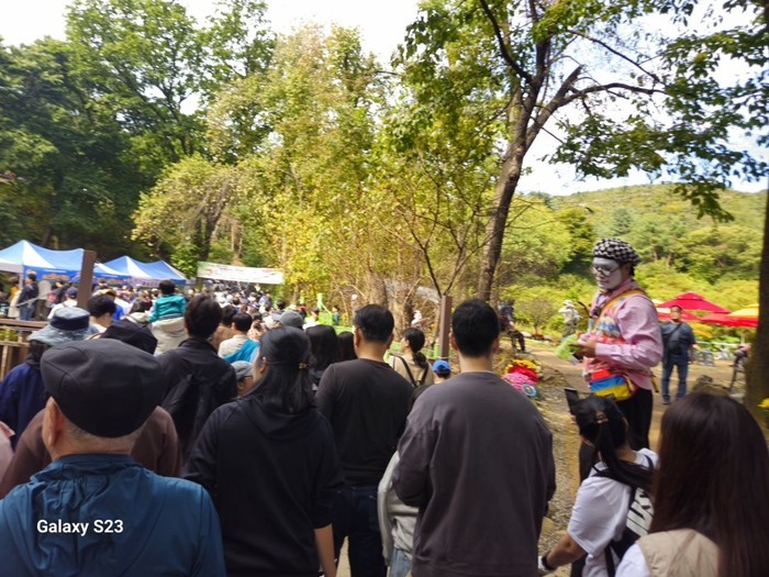 과천시민 밤 줍기 행사 현장, 시민들과 함께한 가을 수확의 즐거움