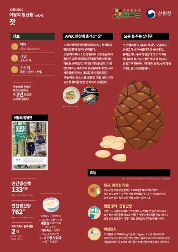 산림청, 12월 이달의 임산물로 ‘잣...