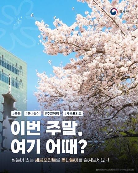 국세청, 이번 주말, 여기 어때?