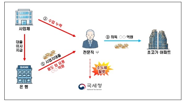 국세청, 사업 자금 대출로 주택 취득...