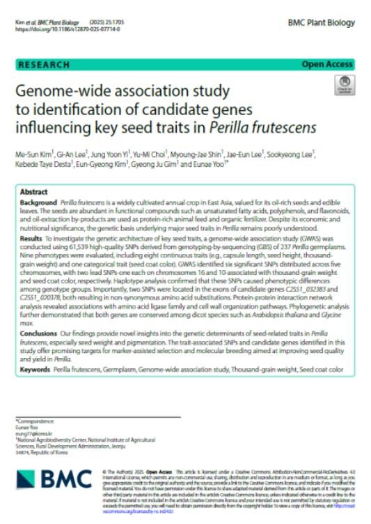 농촌진흥청, 들깨 종자 무게 · 색 ...