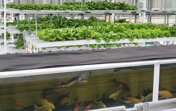 경기도농업기술원, '아쿠아포닉...