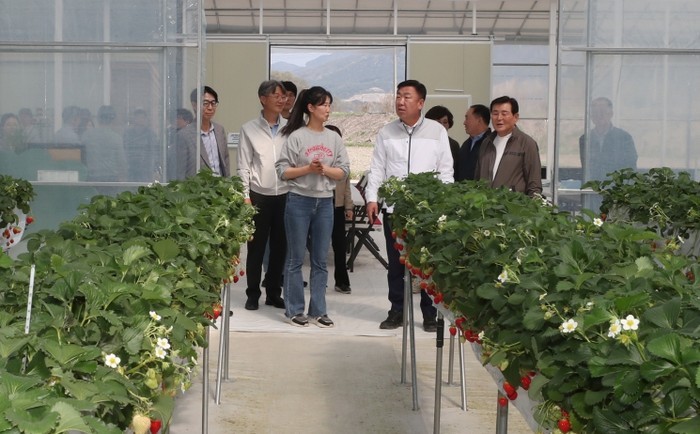이범석 청주시장, 청년 창업농 딸기재...