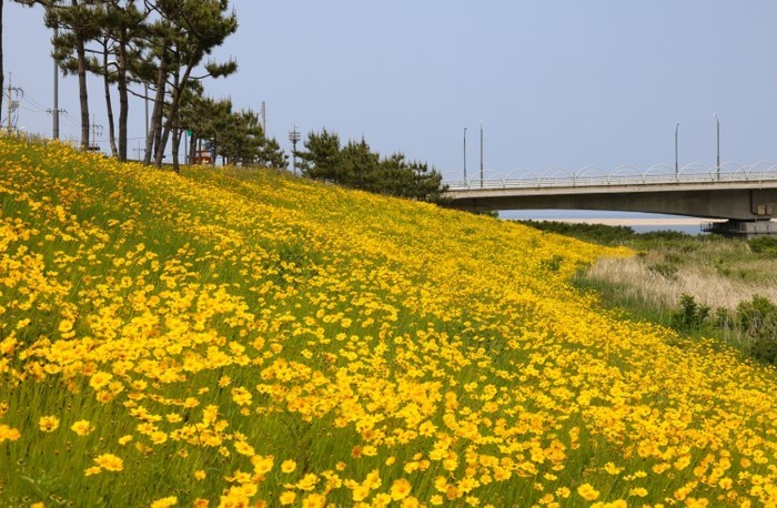 양양 남대천 연어생태공원, ‘더 안전...