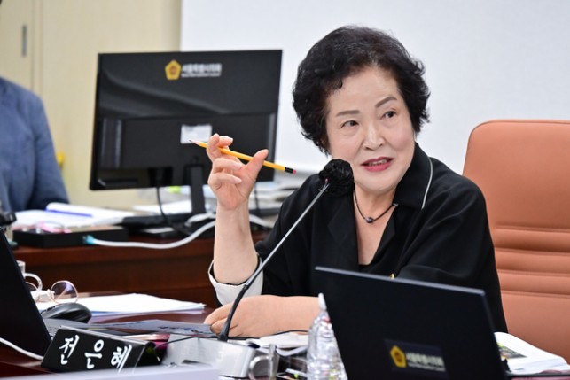 서울시의회 전은혜 부위원장, 서울 시...