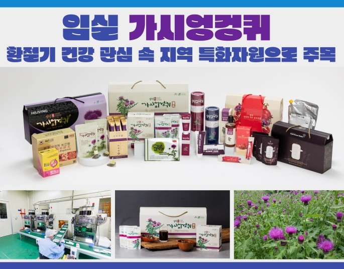 임실군, 자생약용 가시엉겅퀴 지역 농...