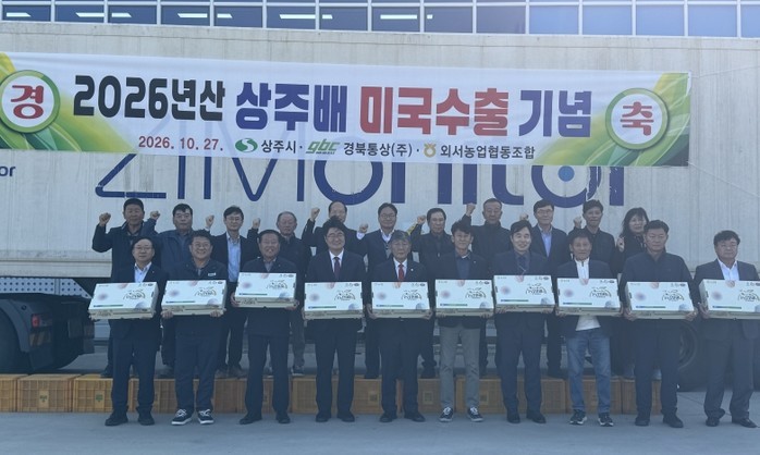상주 신고배, 황금빛 품질 앞세워 미...